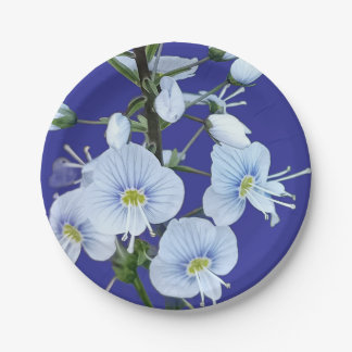 Assiettes En Carton Fleurs bleues