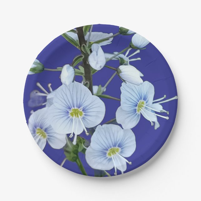 Assiettes En Carton Fleurs bleues (Devant)
