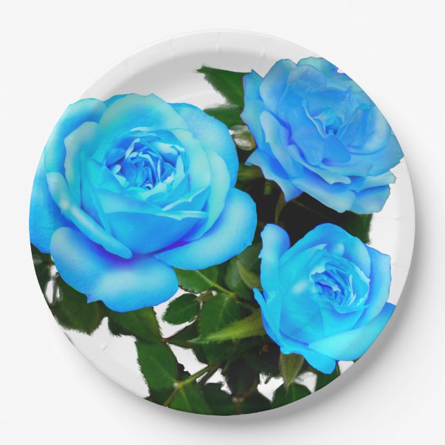 Assiettes En Carton Fleurs bleues roses bleues (Devant)