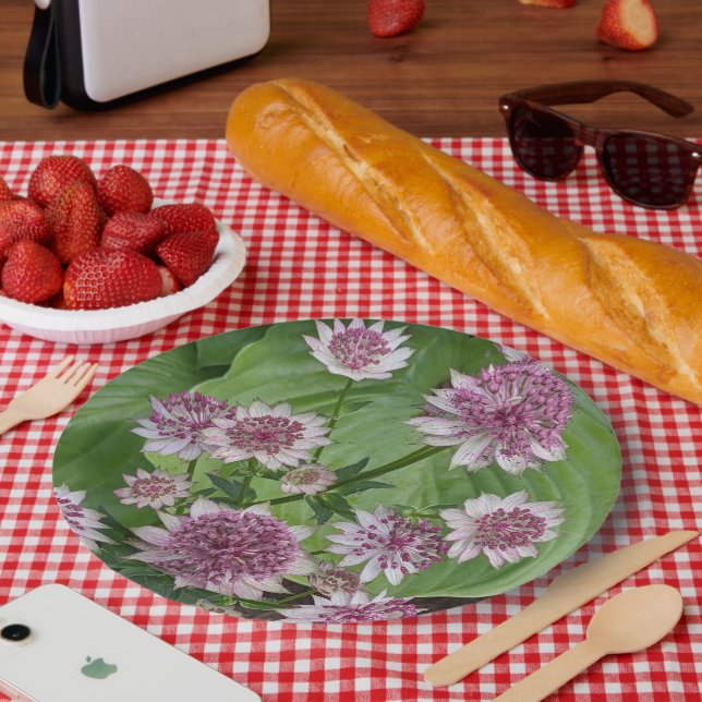 Assiettes En Carton Fleurs d'Astrantia rose (Pique-nique)