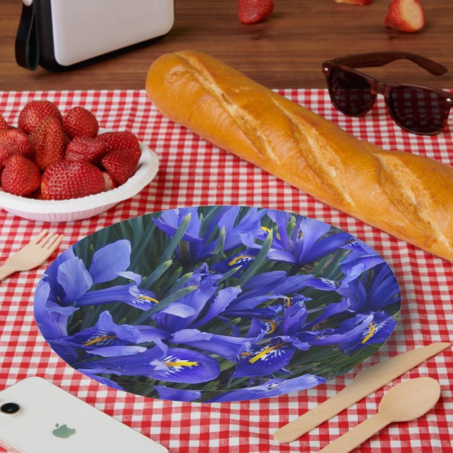 Assiettes En Carton Floral d'Irises réticulées pourpres (Pique-nique)
