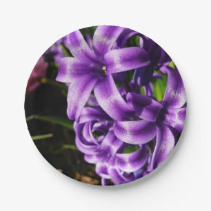 Assiettes En Carton Flore de printemps Blue Hyacinth II