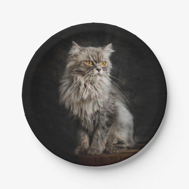 Assiettes En Carton Fluffy Gris (Devant)