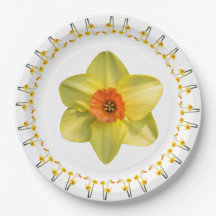 Folie des jonquilles.