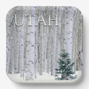 Assiettes En Carton Forêt nationale de Manti-LaSal, Utah
