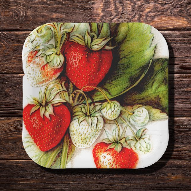 Assiettes En Carton fraise vintage (Créateur téléchargé)