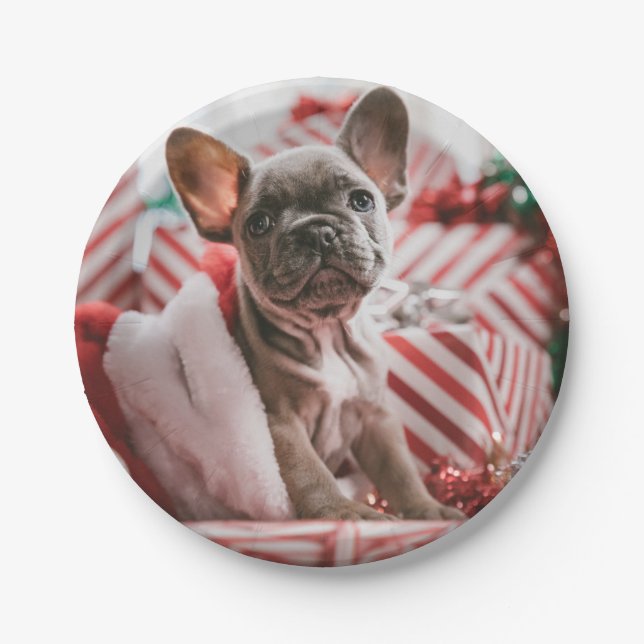 Assiettes En Carton French Bulldog (Devant)