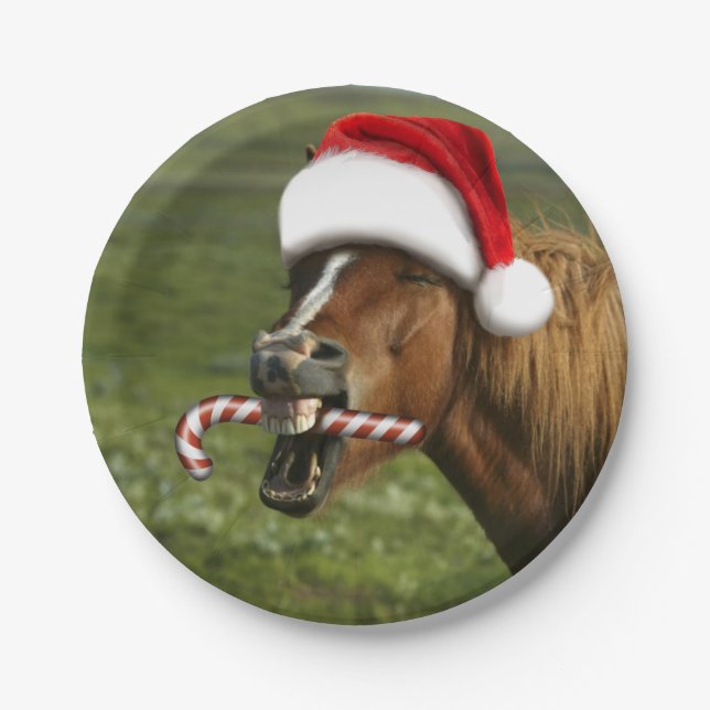 Assiettes En Carton Funny Christmas horse with Santa hat smiling (Devant)