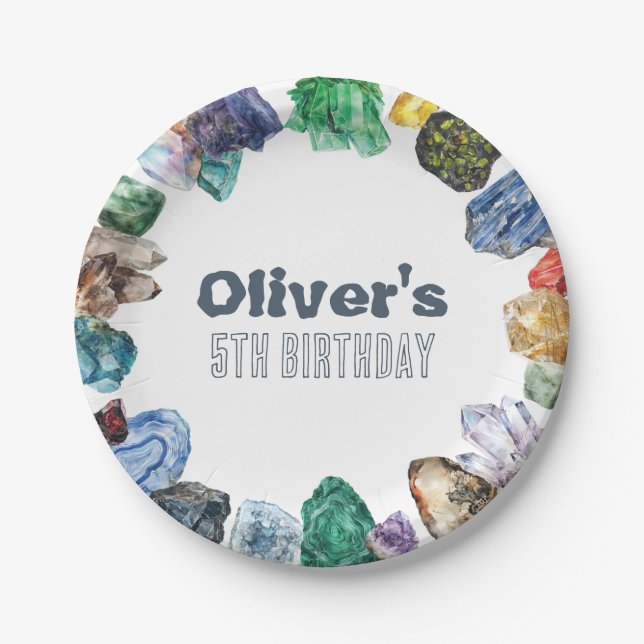 Assiettes En Carton Geology Birthday Rocks Dig Party (Devant)