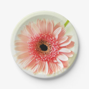 Assiettes En Carton Gerbera Daisy