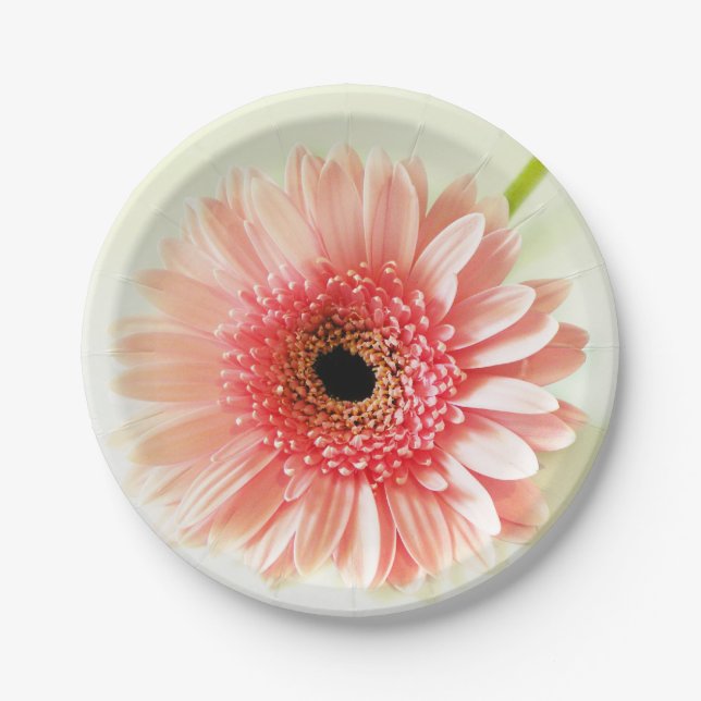 Assiettes En Carton Gerbera Daisy (Devant)