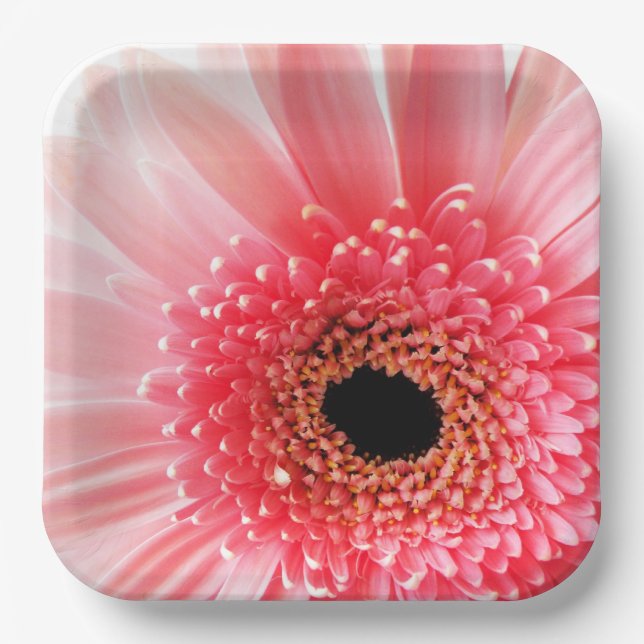 Assiettes En Carton Gerbera Daisy (Recto)