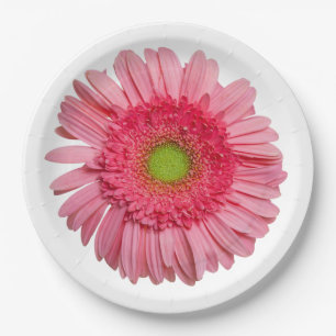 Assiettes En Carton Gerbera Rose Daisy