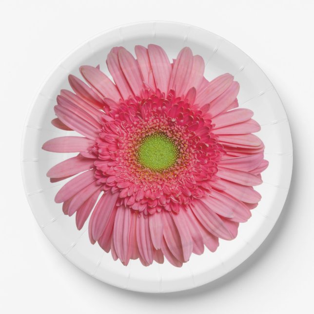 Assiettes En Carton Gerbera Rose Daisy (Devant)