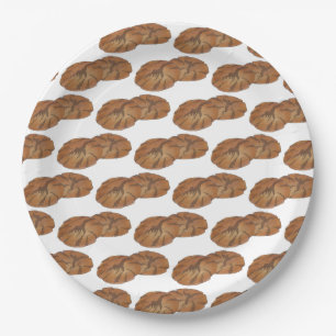 Assiettes En Carton Gingersnap Gingersnap Biscuit Ginger Nut cookies