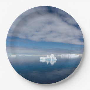 Assiettes En Carton Glace flottante en Antarctique