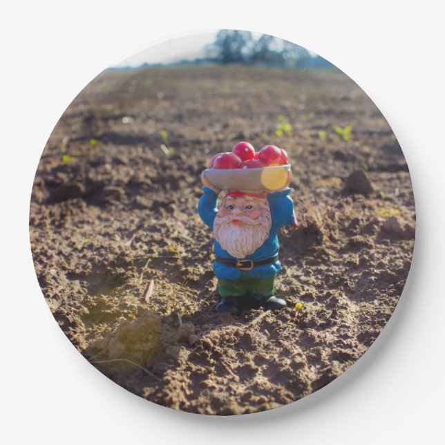 Assiettes En Carton Gnome de ferme (Devant)