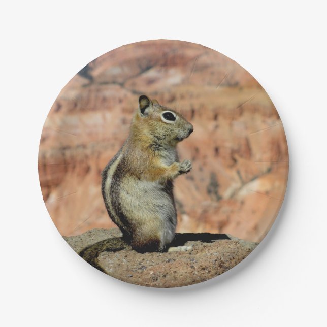 Assiettes En Carton Golden Mantled Ground Squirrel (Devant)