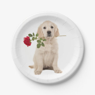 Assiettes En Carton Golden Retriever Chien Chien Chien Mariage