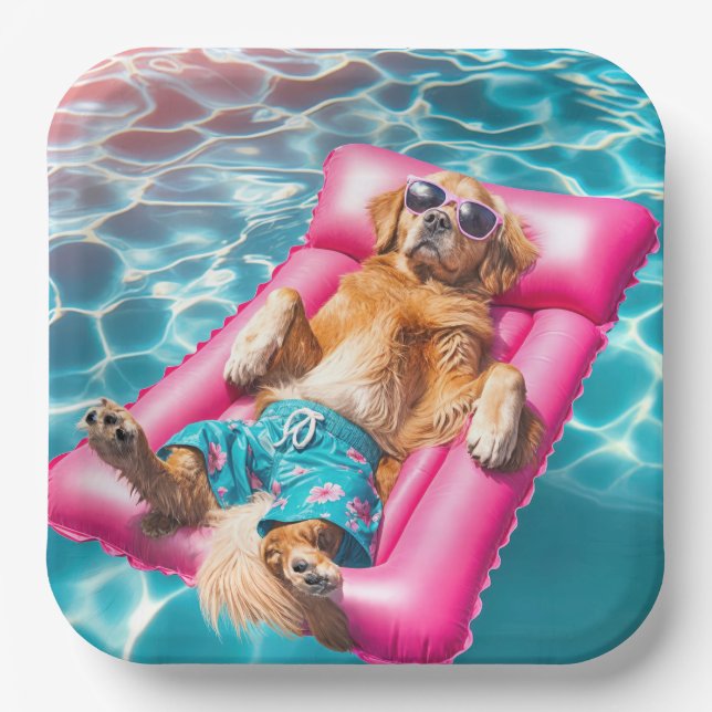 Assiettes En Carton Golden Retriever Flottant Sur Matelas De Piscine (Recto)