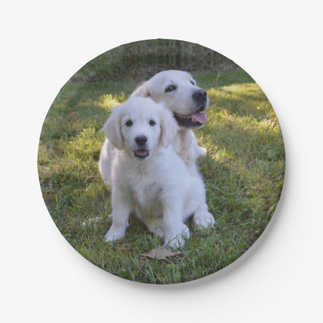 Assiettes En Carton Golden Retriever maman et chiot (Devant)