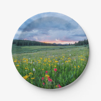 Assiettes En Carton Good Morning Meadow,