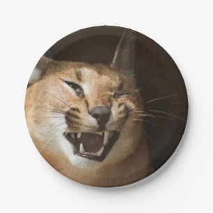 Assiettes En Carton Goofy Lynx
