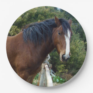 Assiettes En Carton Grand Cheval Brown de Clydesdale,