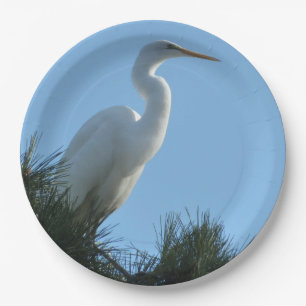 Assiettes En Carton Great Egret dans la Floride ensoleillée