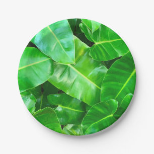 Assiettes En Carton Green feuille Palm Leaf feuillage tropical jungle