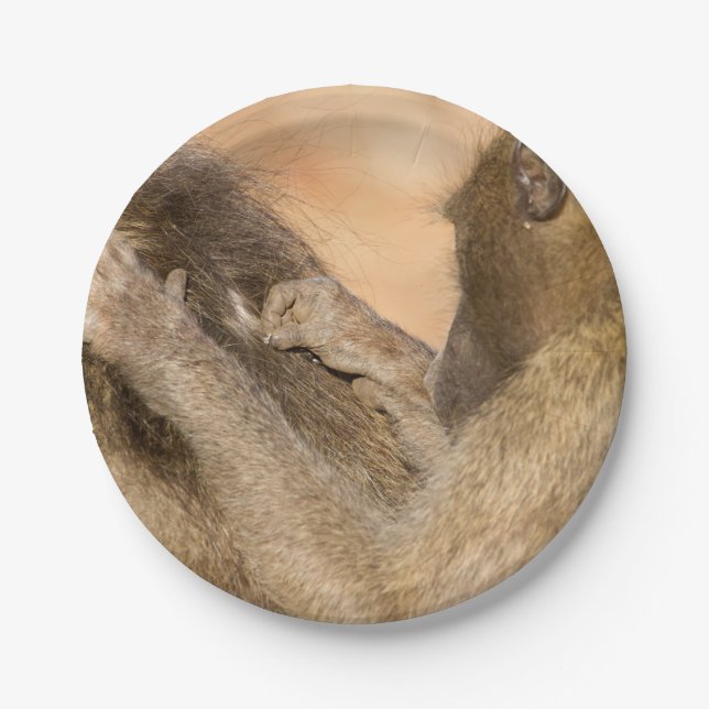 Assiettes En Carton Grooming baboons (Devant)