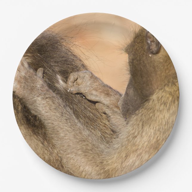 Assiettes En Carton Grooming baboons (Devant)