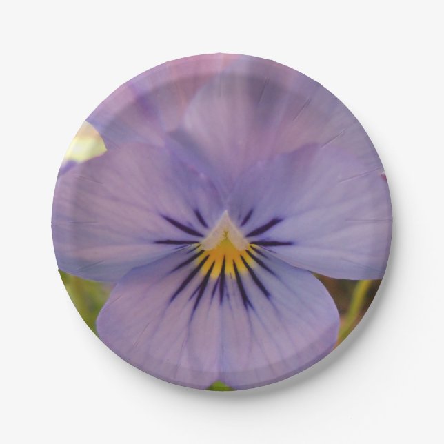 Assiettes En Carton Haetzlern (Devant)