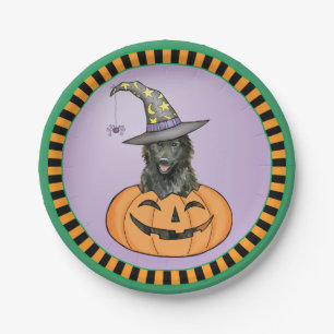 Assiettes En Carton Halloween Sheepdog belge