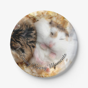 Assiettes En Carton Hammyville - hamster mignon