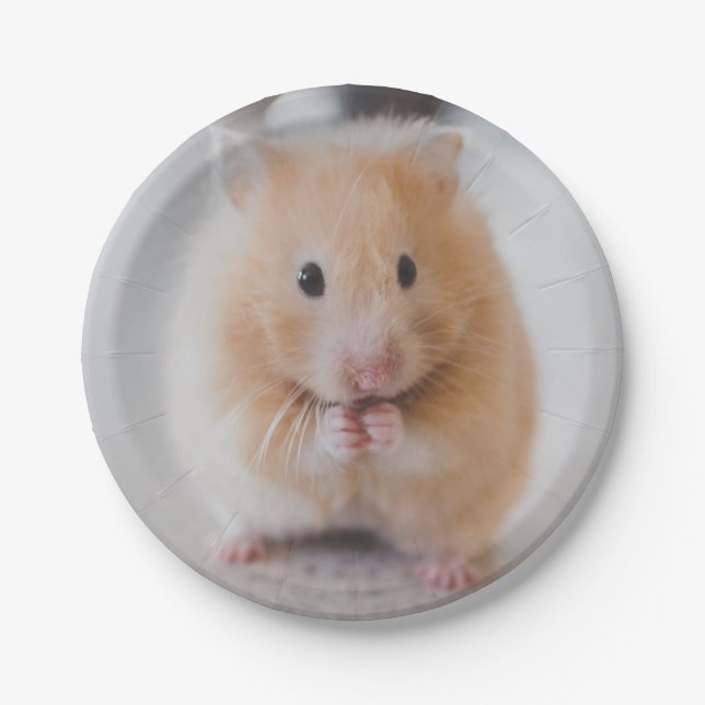 Assiettes En Carton hamster (Devant)