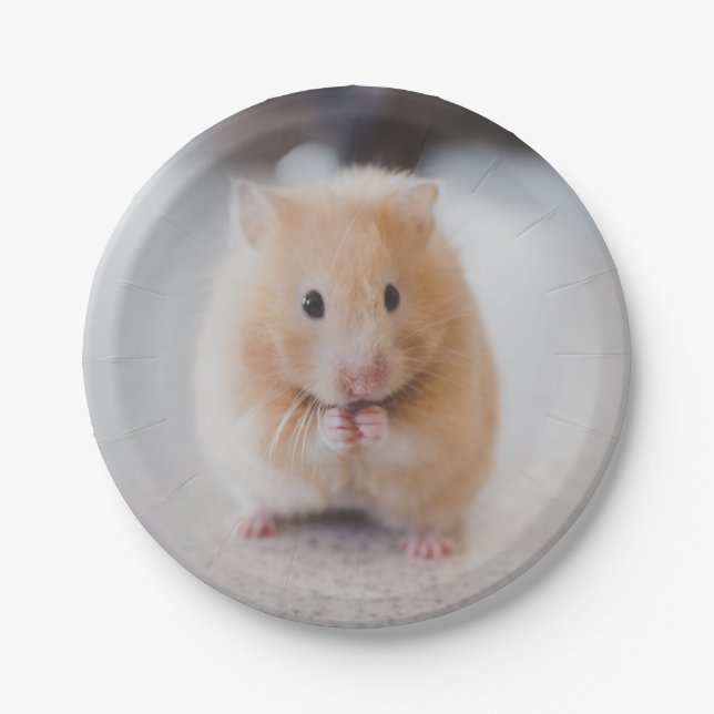 Assiettes En Carton Hamster mignon (Devant)
