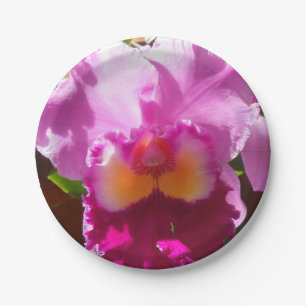 Assiettes En Carton Harlinde