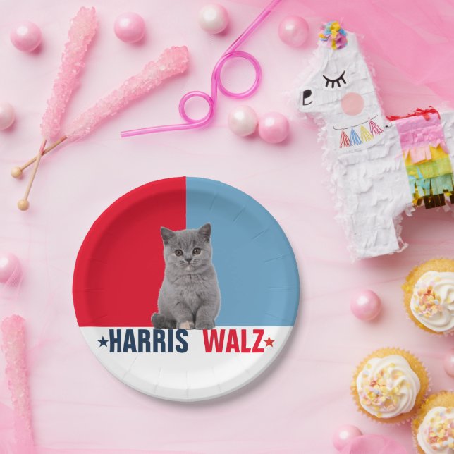Assiettes En Carton Harris Walz 2024 Manifestement rouge bleu (Fête)