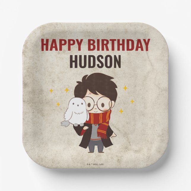 Assiettes En Carton HARRY POTTER™ Caractère Arc magique Anniversaire (Recto)