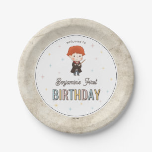 Assiettes En Carton Harry Potter Chibi Ron Weasley Magicien Anniversai