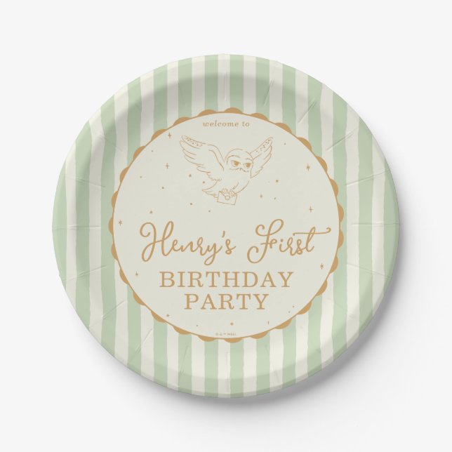 Assiettes En Carton Harry Potter Hedwig Green Magical Birthday (Devant)