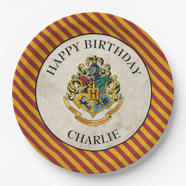 Assiettes En Carton Harry Potter | Hogwarts Birthday (Devant)