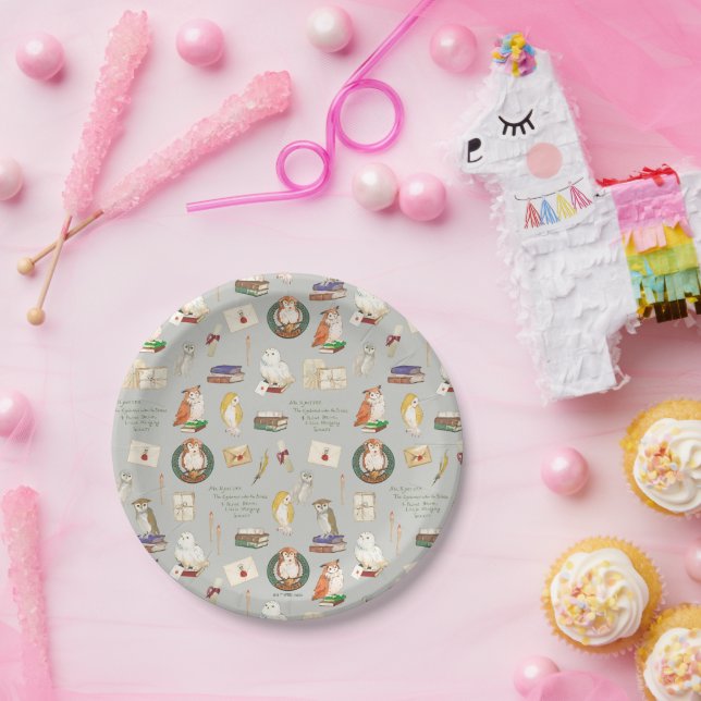 Assiettes En Carton HARRY POTTER™ | Motif de lettre de hibou (Fête)