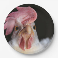 Hen