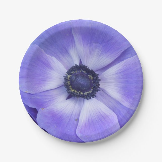 Assiettes En Carton Henrietta (Devant)