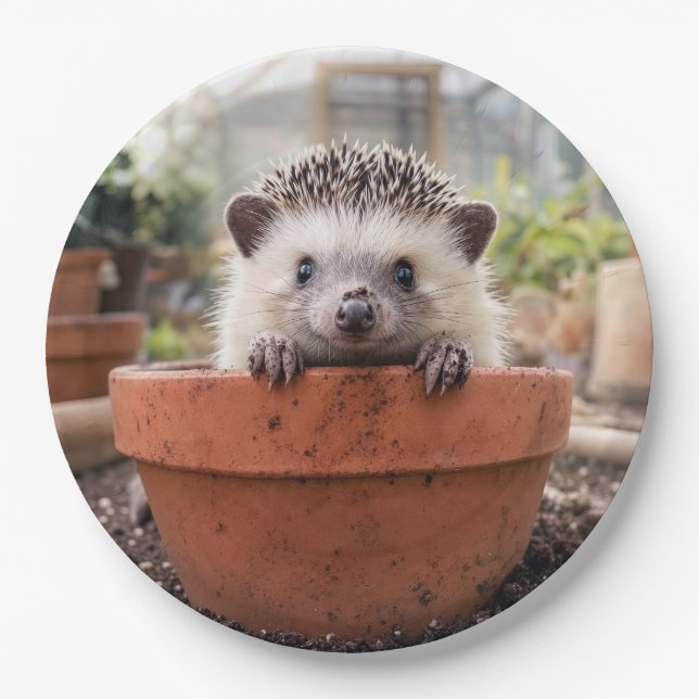 Assiettes En Carton Hérisson dans un pot de fleurs en argile (Devant)