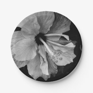 Assiettes En Carton Hibiscus