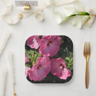 Assiettes En Carton Hibiscus Hardy