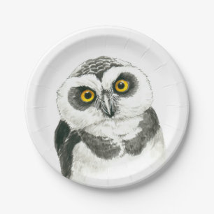 Assiettes En Carton Hibou